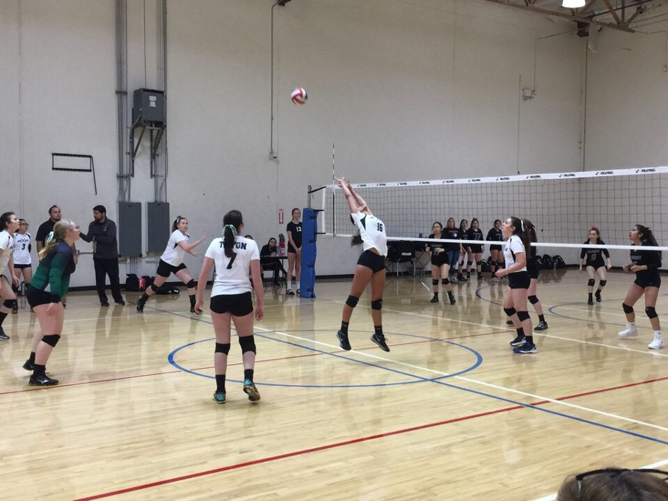 Nexus Youth Sports - Phoenix Area Volleyball Club for Girls - Home